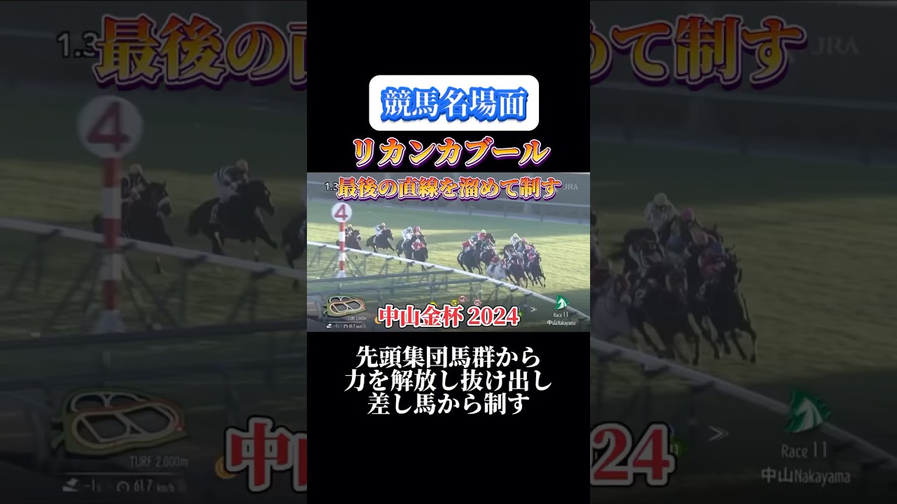 【競馬】リカンカブール【中山金杯 2024】#shorts #競馬 #リカンカブール #中山金杯 #競馬予想はショート動画に