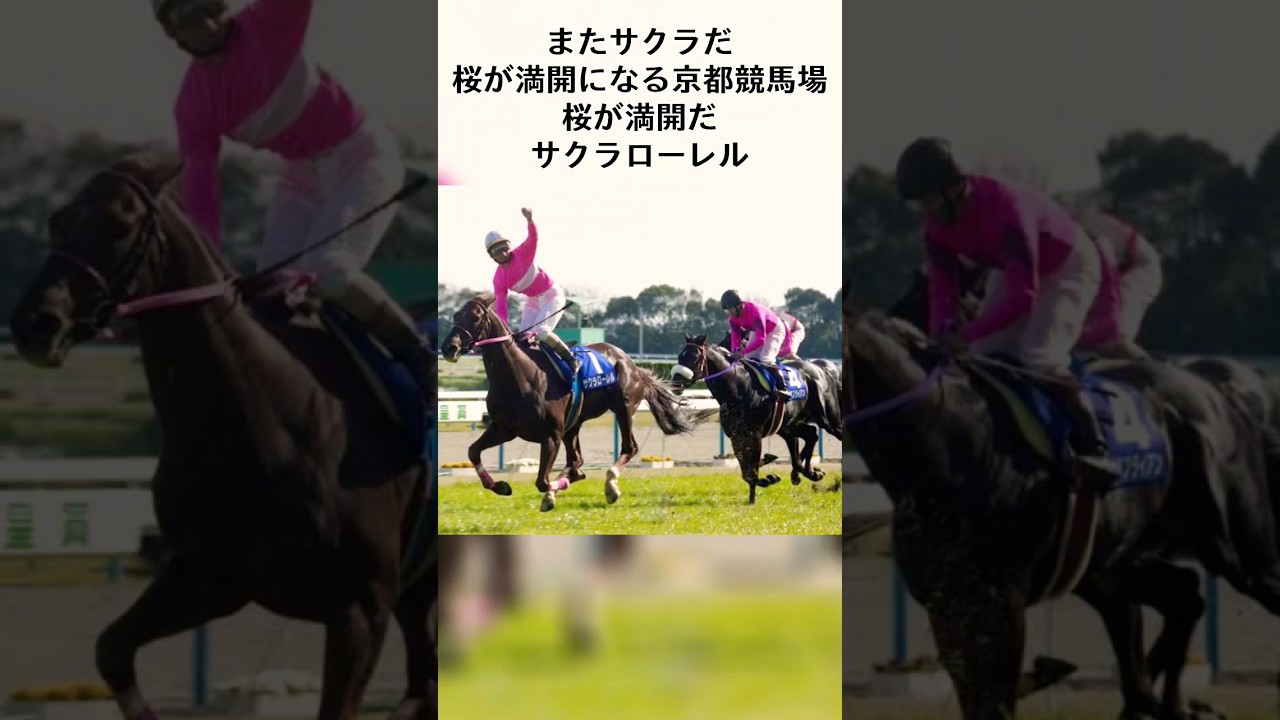 杉本清アナ名実況・名フレーズ