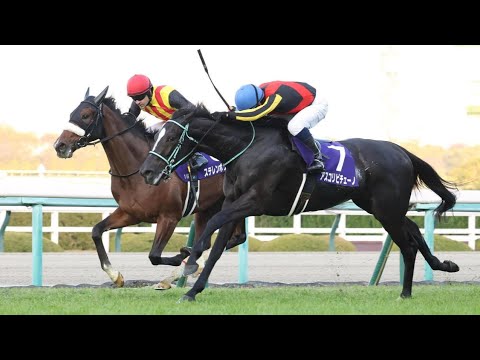 ケイアイファームがフライトライン受胎牝馬を100万ドルで落札／キーンランド社１月セールw.sports