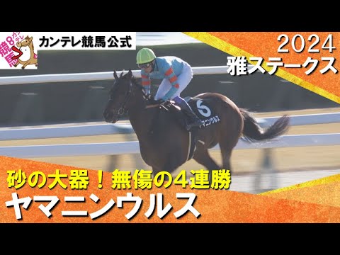 【ヤマニンウルスが無傷の４連勝！ダートの大器がいよいよオープン入り】2024年 雅ステークス(３勝クラス)　実況：川島壮雄【カンテレ公式】