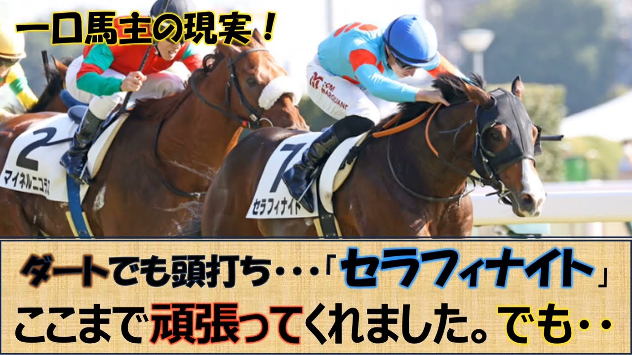 【一口馬主】新年出資馬初出走！「セラフィナイト」結果や如何に？