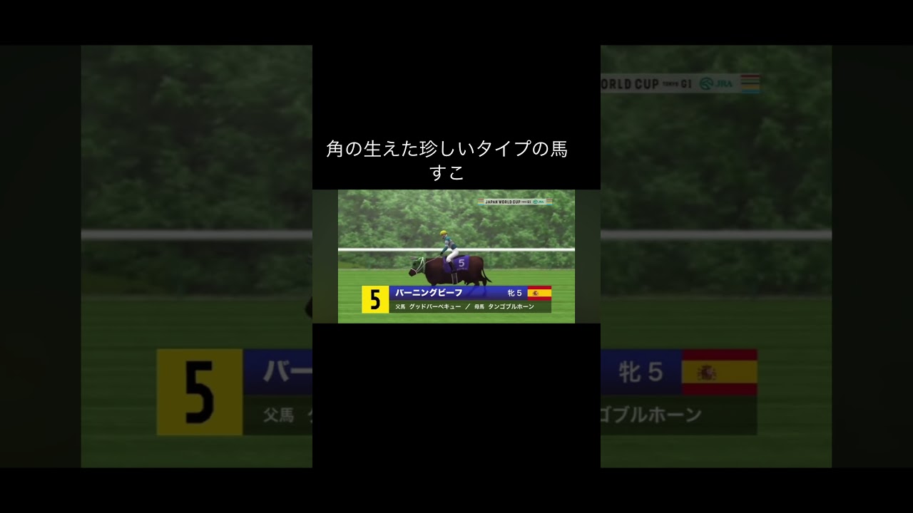 【競馬】角の生えた珍しいタイプの馬　Japan World Cup