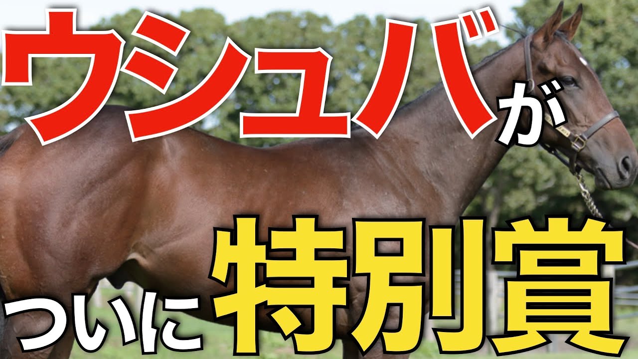 【歓喜】ついにウシュバテソーロが特別賞獲得！激戦のJRA賞が発表される。
