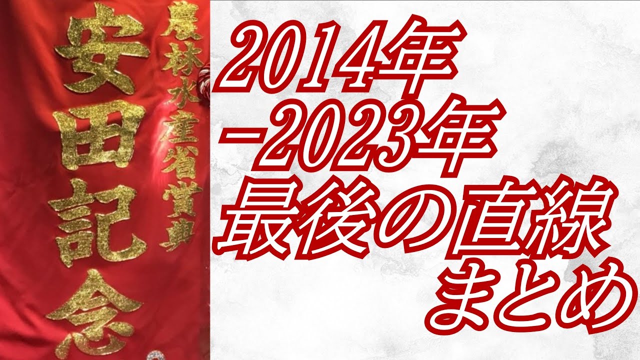 安田記念 2014年～2023年 最後の直線まとめ