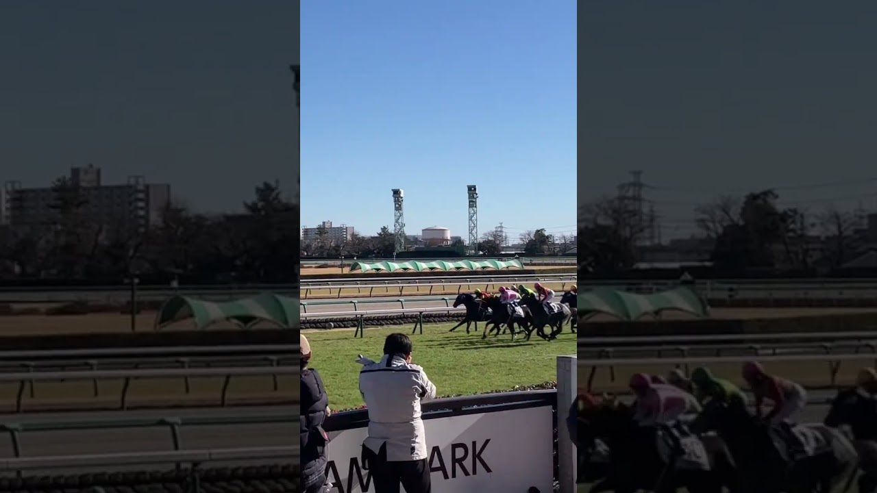 とある日の新馬戦 #こしゃまる #競馬 #競馬予想