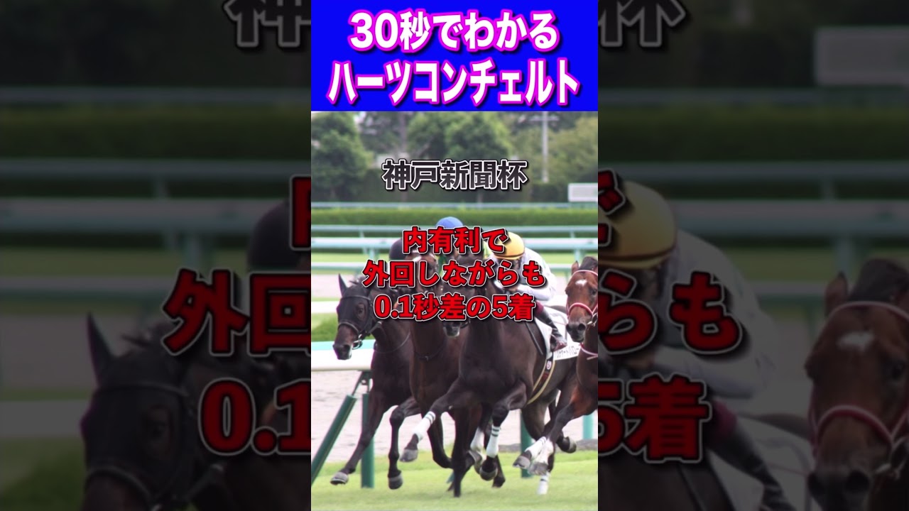 【日経新春杯2024】30秒でわかるハーツコンチェルト