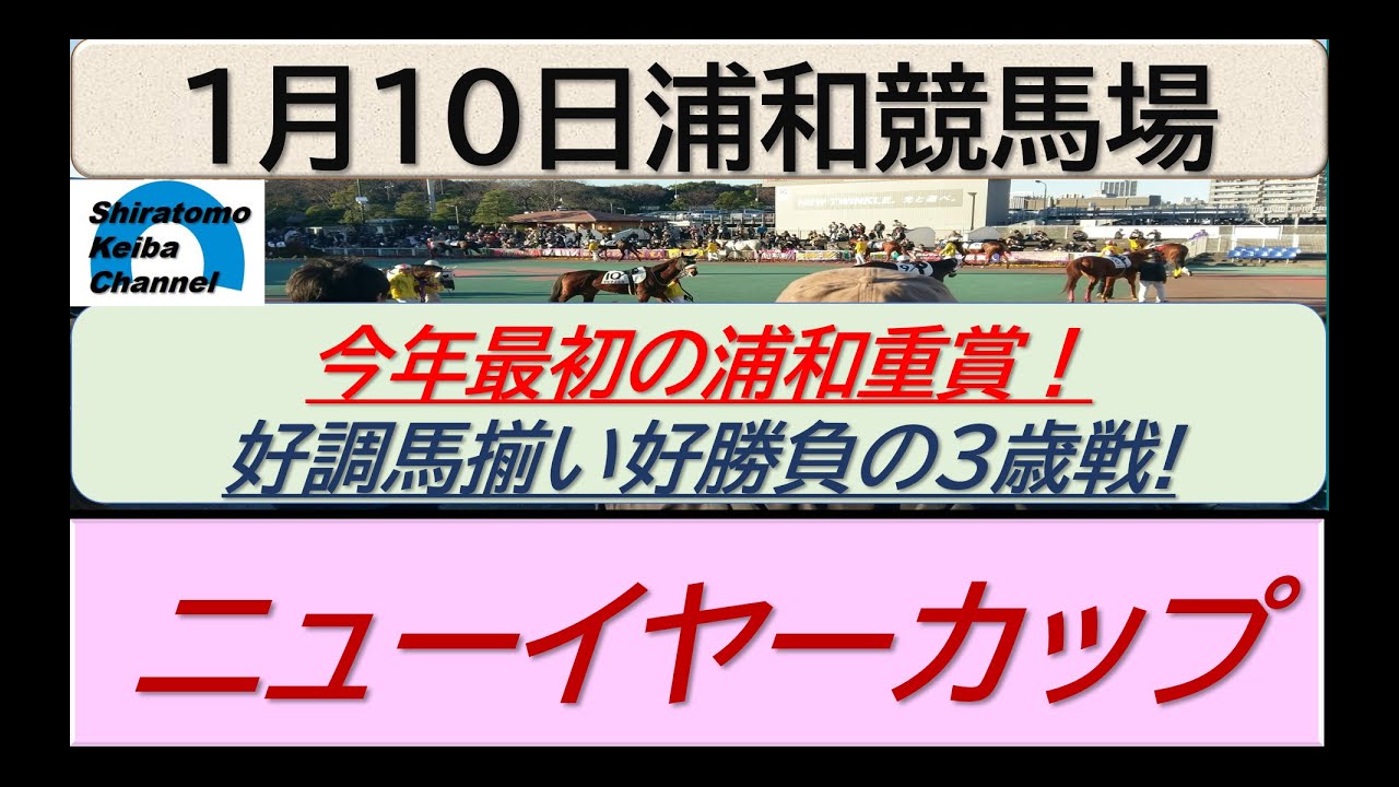 【競馬予想】SⅢニューイヤーカップ～今年初の浦和重賞～！～２０２４年１月１０日 浦和競馬場 ：１－２２