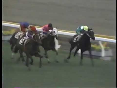 1976 皐月賞 トウショウボーイ