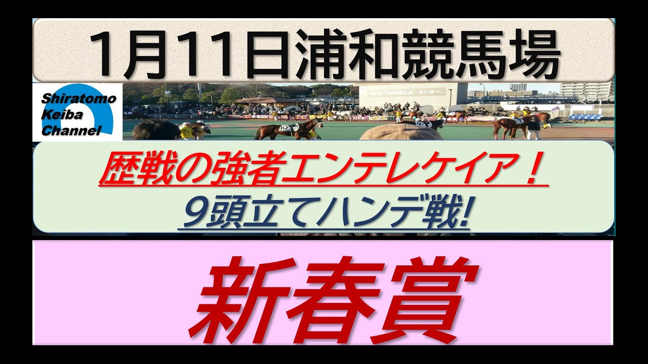 【競馬予想】新春賞！！～２０２４年１月１１日 浦和競馬場 ：１－２３