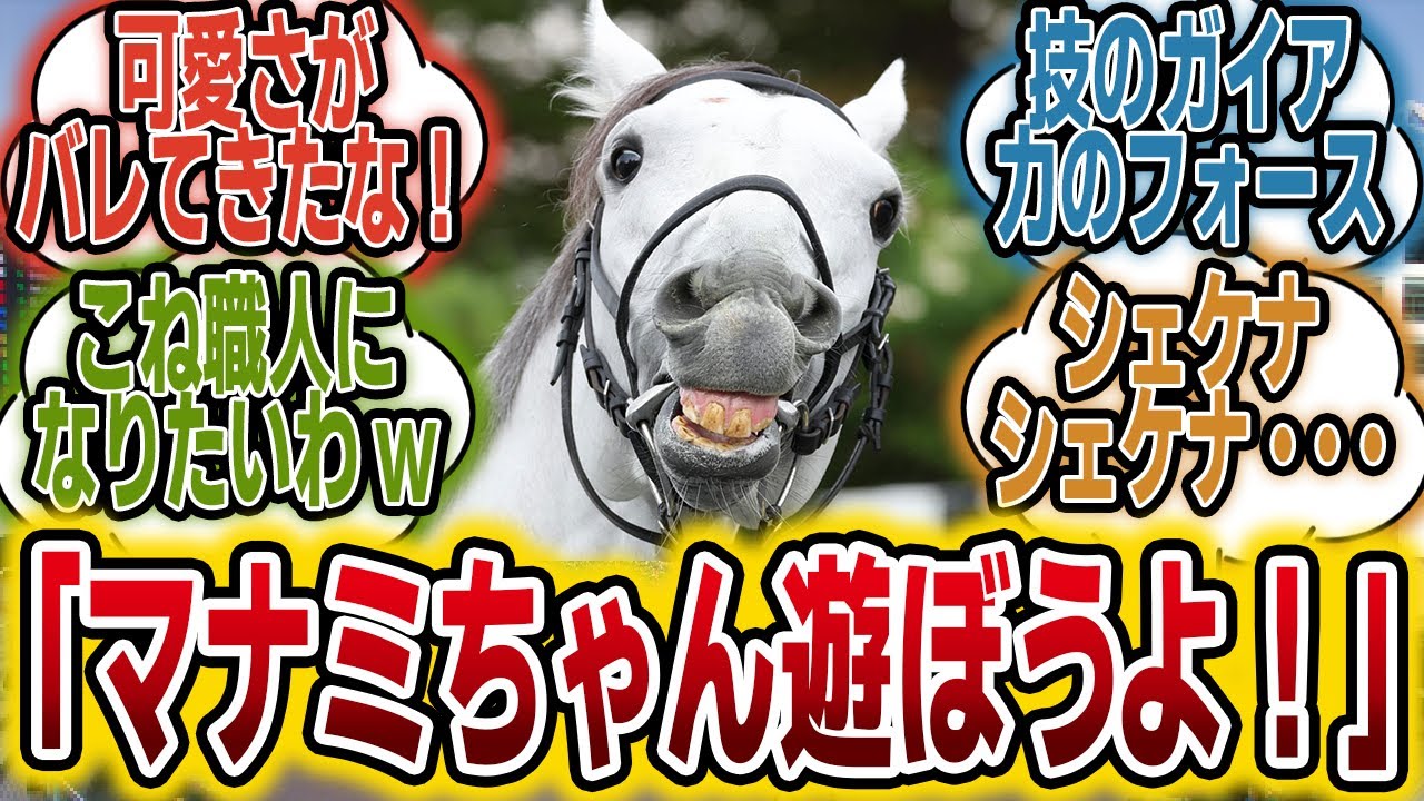 「ガイアフォースくん、必死に我慢する？www」に対するみんなの反応【競馬の反応集】