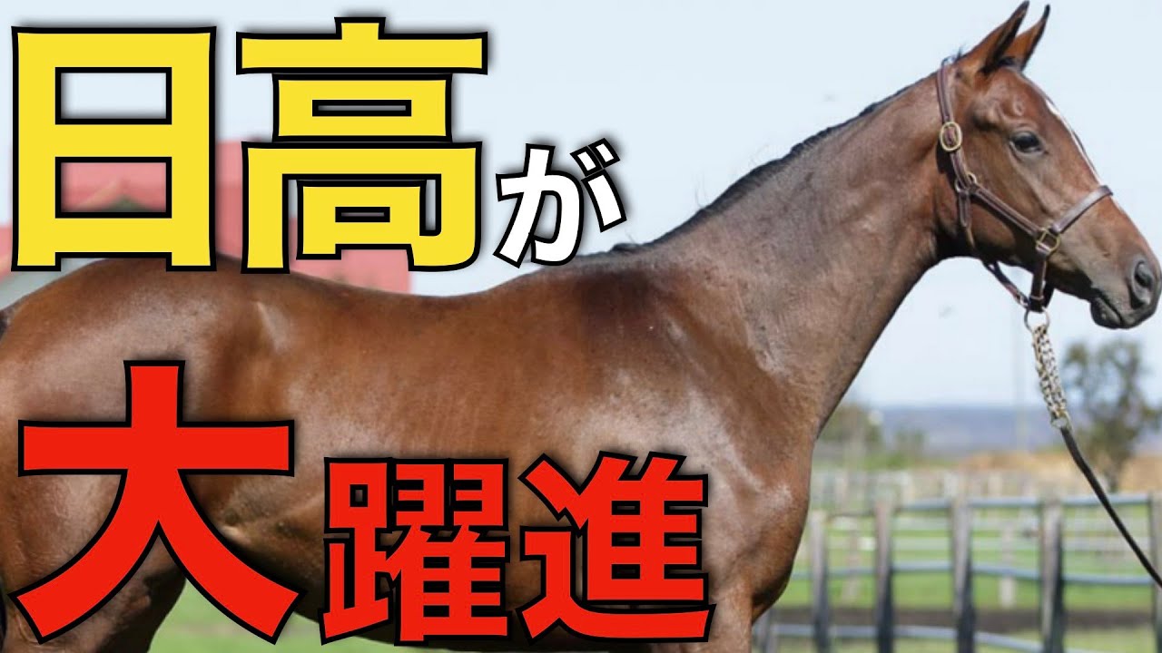 競馬界に新風！日高系牧場が生産牧場リーディングで社台を追い越す。