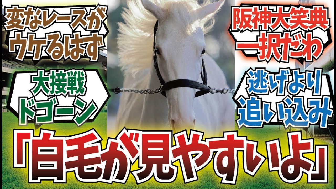 「競馬に興味ない人に見せたいレース10選」に対するみんなの反応集