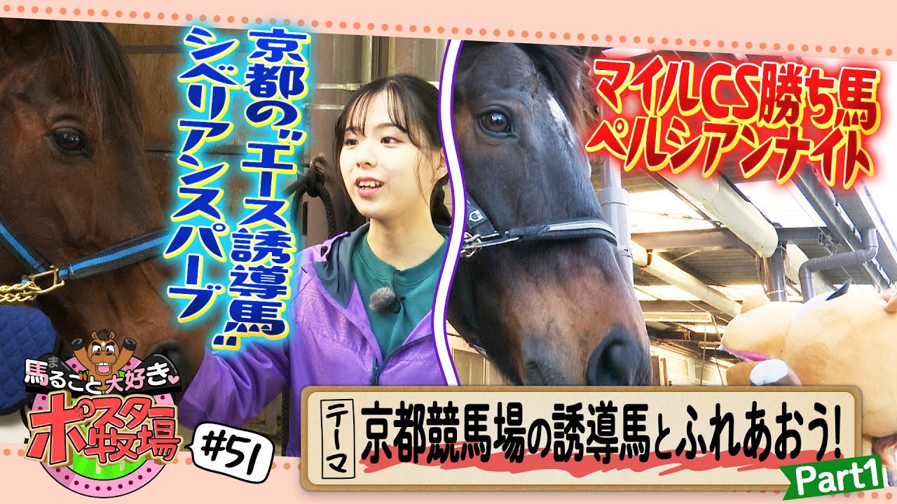 馬るごと大好き♡ポスター牧場　第５１話「京都競馬場の誘導馬とふれあおう！」