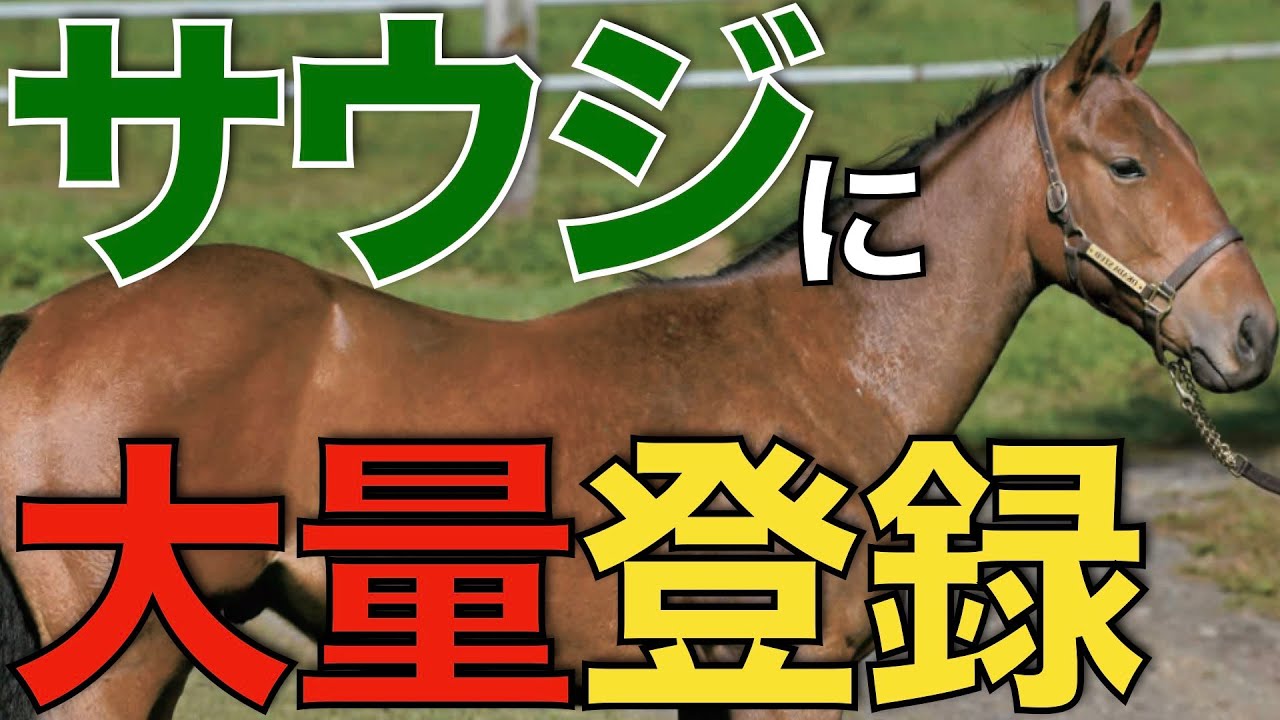 サウジカップデー、今年もスターホースが大集結！一方でフェブラリーSは危機に？