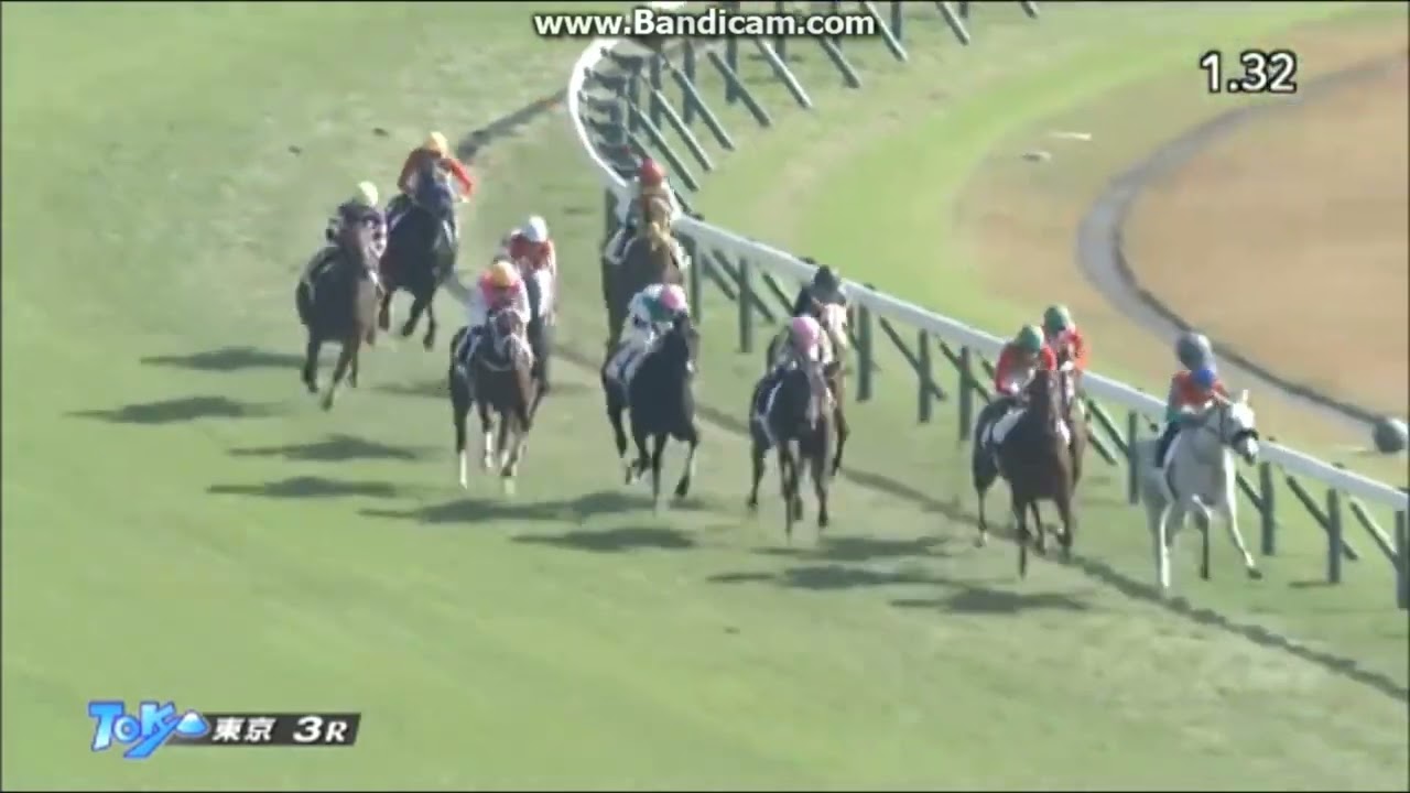 2歳未勝利　芝左2000m　ドゥレッツァ　牡2　55　Ｃ.ルメール　2022.11.12　　出走馬：サトノグランツ、イケイケドンドン、ペネトレイトゴー、キタノマルティス、マイネルパーヴェル他