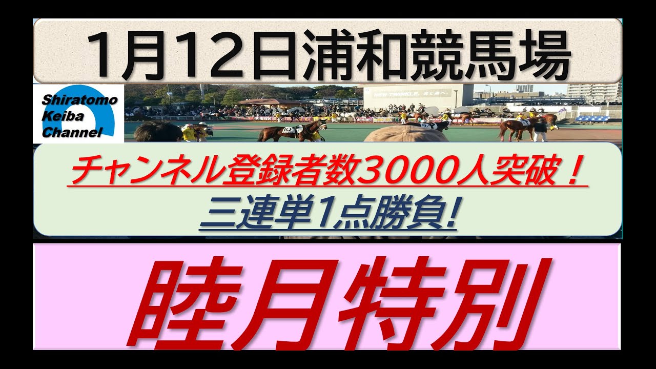 【競馬予想】睦月特別～チャンネル登録者数3000人突破～！～２０２４年１月１２日 浦和競馬場 ：１－２５