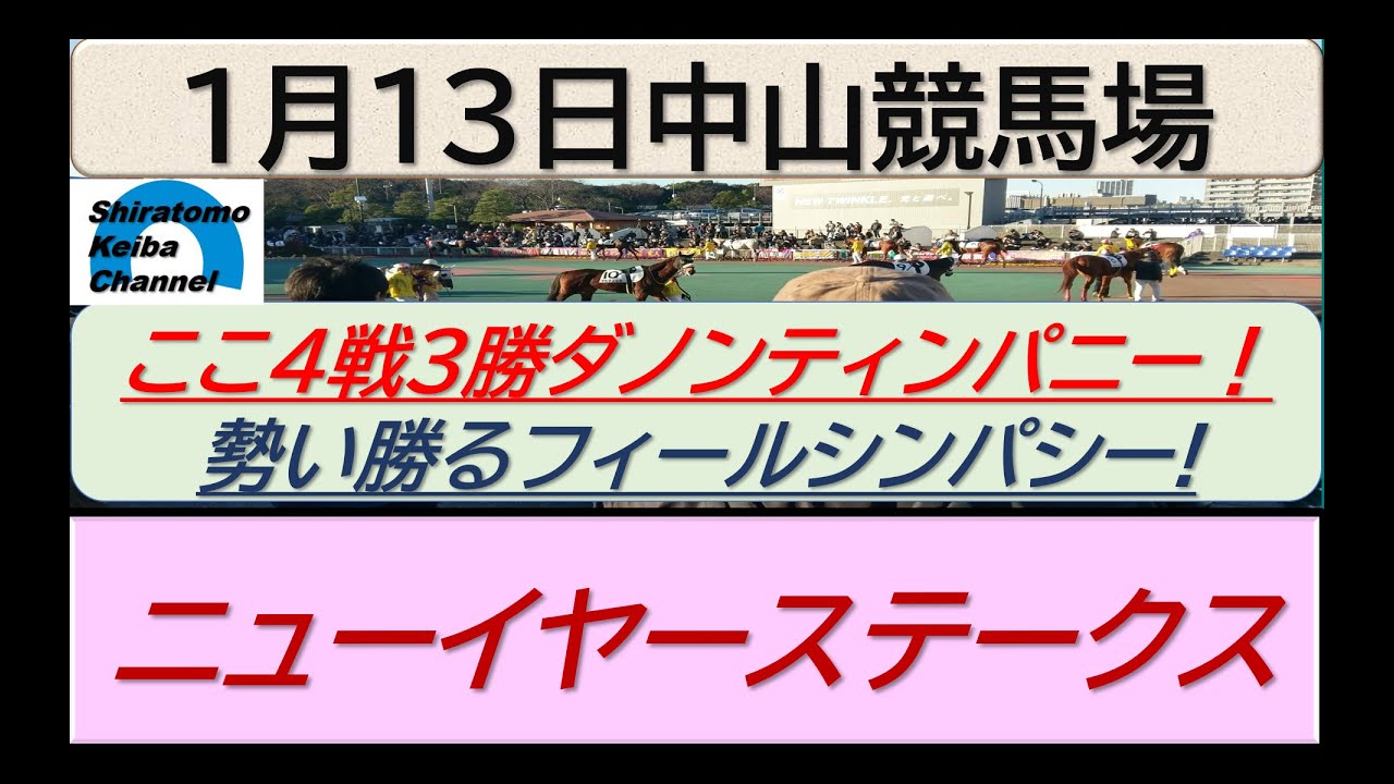 【競馬予想】ニューイヤーステークス！～２０２４年１月１３日 中山競馬場 ：１－２７