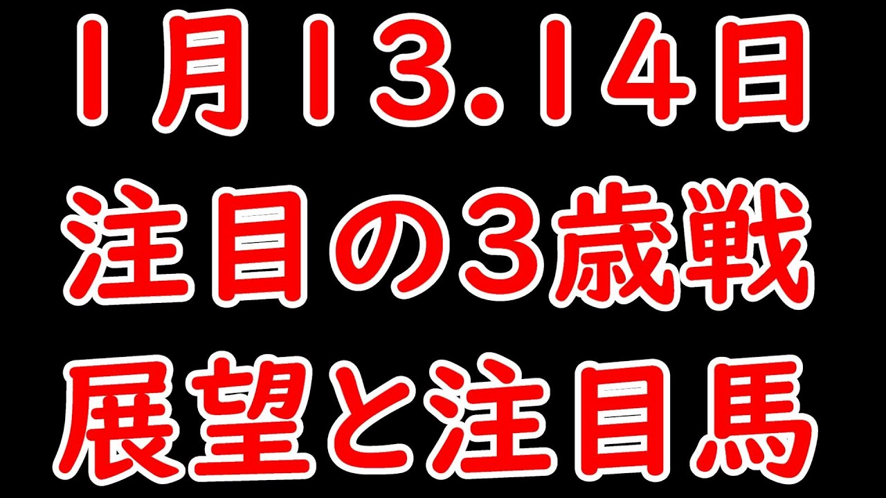 1月13.14日注目の3歳条件戦 展望と注目馬 菜の花賞＆紅梅Sは重要な一戦か！？【POG23-24】