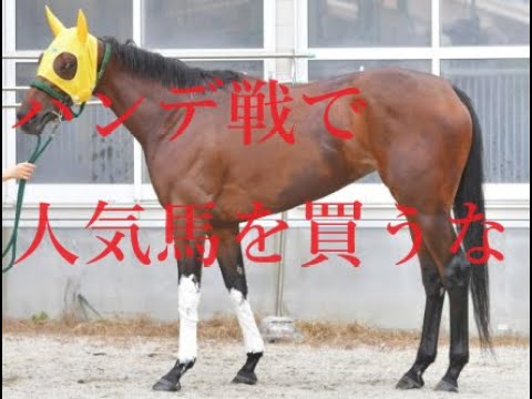 金杯は推奨穴馬コレペティトール、ククナが好走！！ 日経新春杯 京成杯 愛知杯 2024 穴馬候補