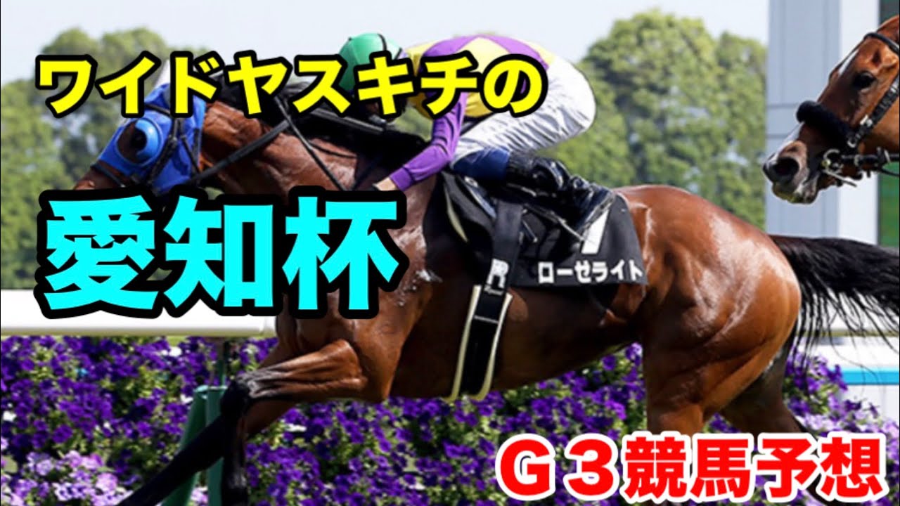 ワイドヤスキチの2024愛知杯Ｇ３競馬予想