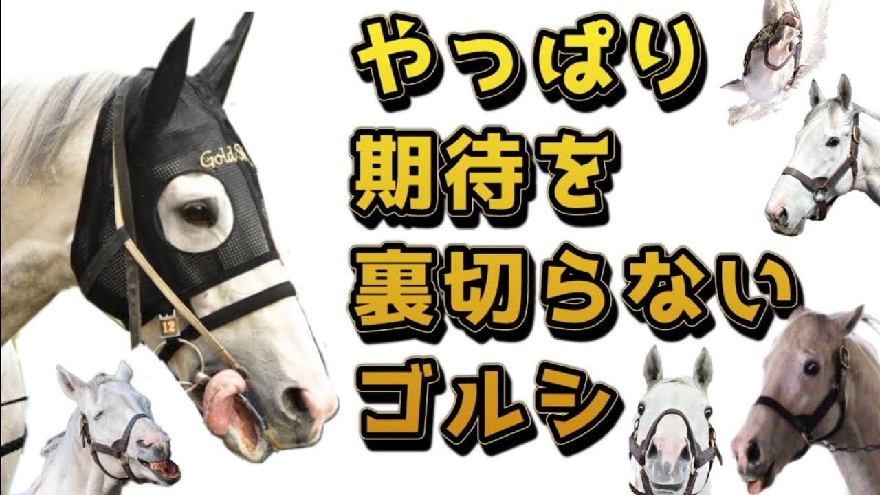 やっぱり期待を裏切らないゴールドシップ