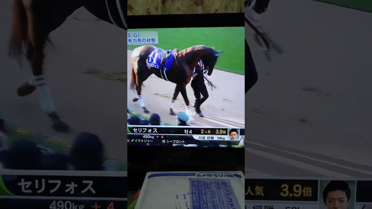 セリフォスのパドック@マイルチャンピオンシップ2023