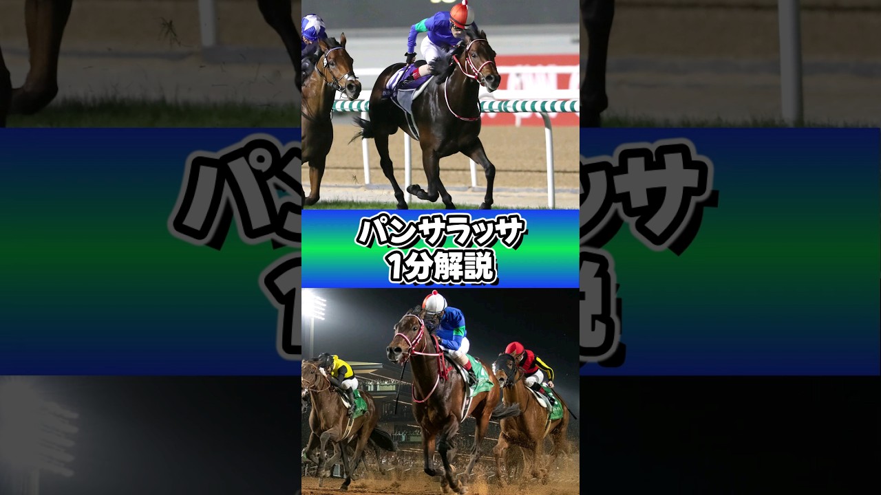 スタコラサッサとパンサラッサ #パンサラッサ #shorts