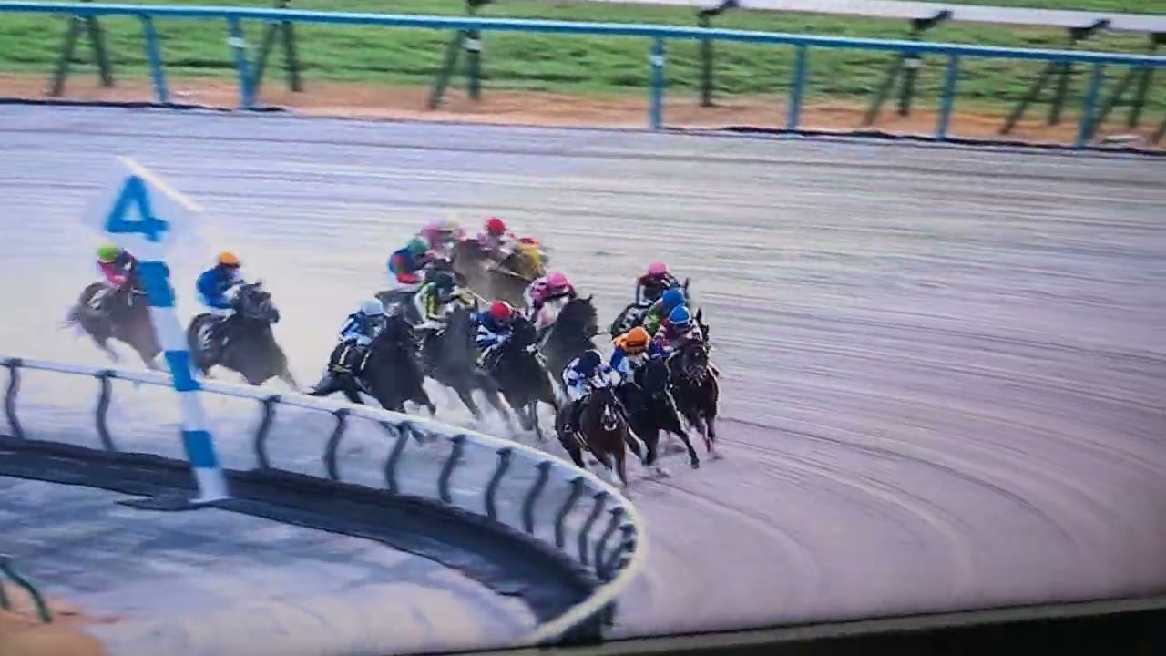 1月7日京都11レース！スバルステークス