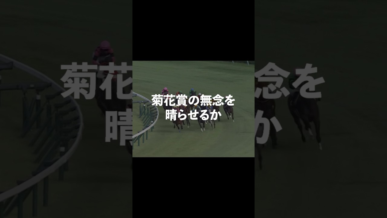 【サトノグランツ】日経新春杯で4歳馬の覇権戦線へもう一度#競馬 #日経新春杯 #サトノグランツ #サトノダイヤモンド