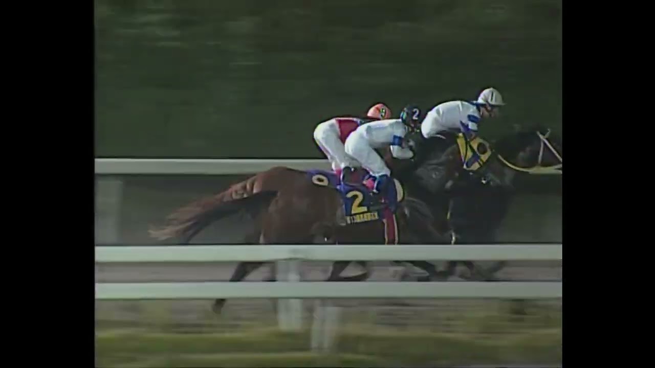 2009年10月23日　第13回黒潮菊花賞