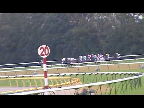 【2011/10/30】第144回 天皇賞・秋（GI）