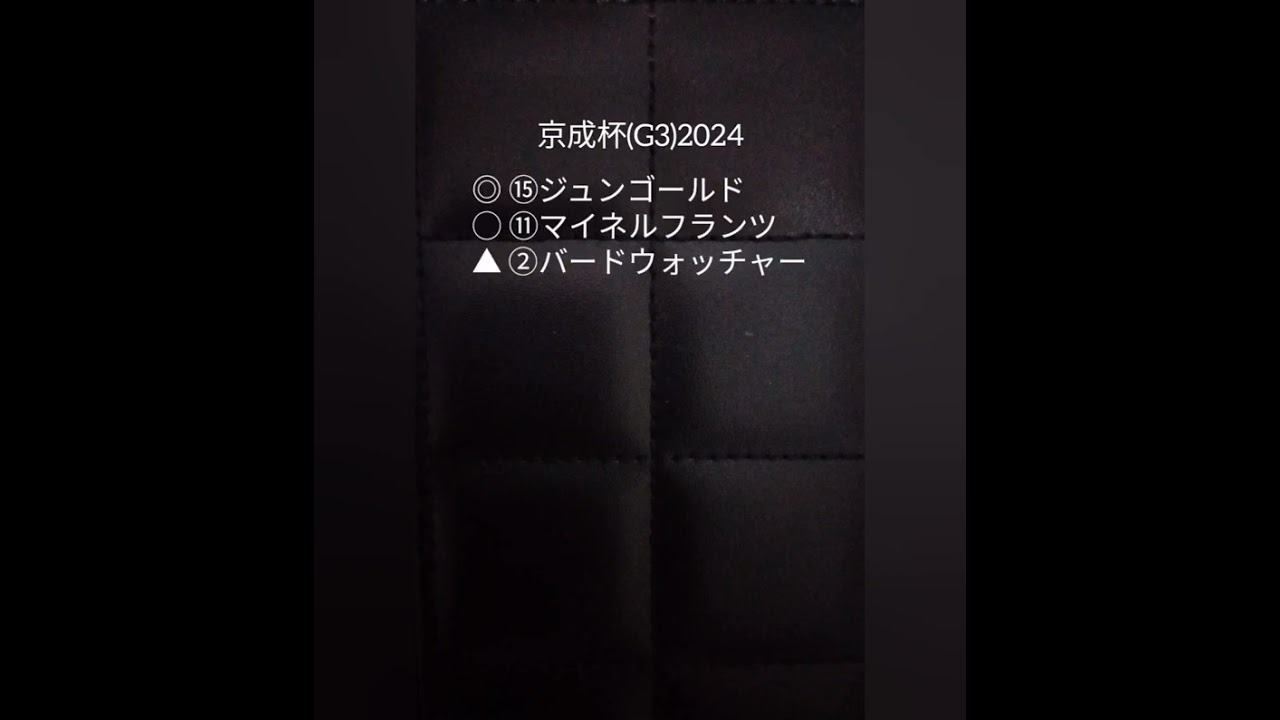 【京成杯(G3)】2024予想🐴『ここから皐月賞&日本ダービー馬は出るのか💓』ルメール騎手バードウォッチャー&坂井騎手ジュンゴールド👍️