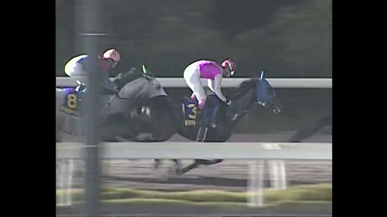 2009年11月6日　第5回黒潮マイルチャンピオンシップ