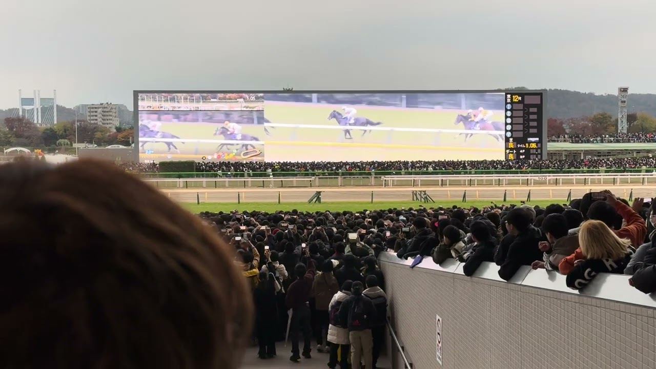 2023年 第43回ジャパンカップ『イクイノックス』￼ラストレース