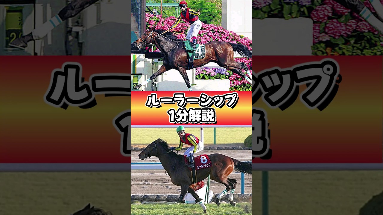 ライバル？ゲートですね(笑) #ルーラーシップ #shorts