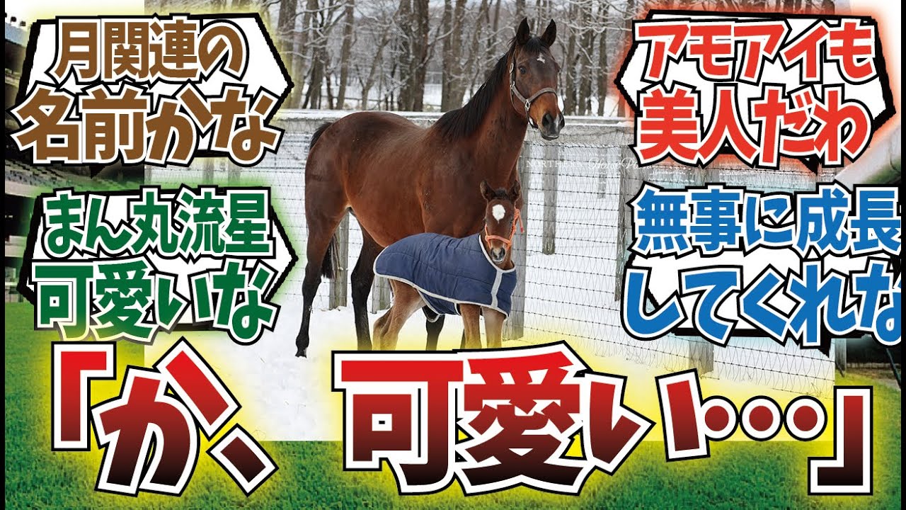 「【朗報】キタモンドアイ、無事誕生」に対するみんなの反応集