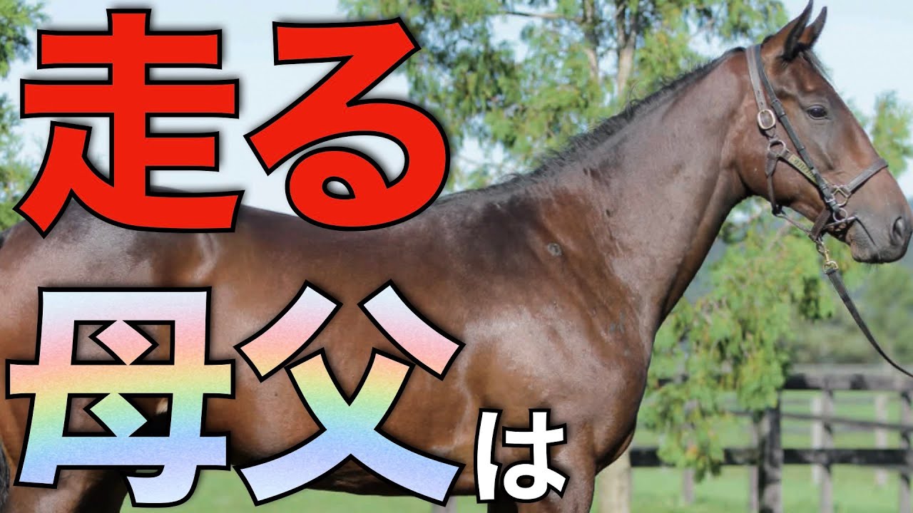 2023年はBMSリーディングに変化あり！新時代の幕開けをチェック。