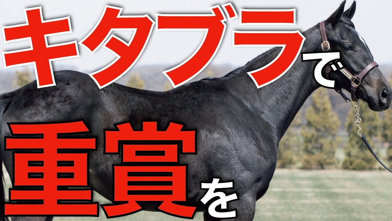 キタサンブラック産駒と共に！今年達成したい5つの大目標。