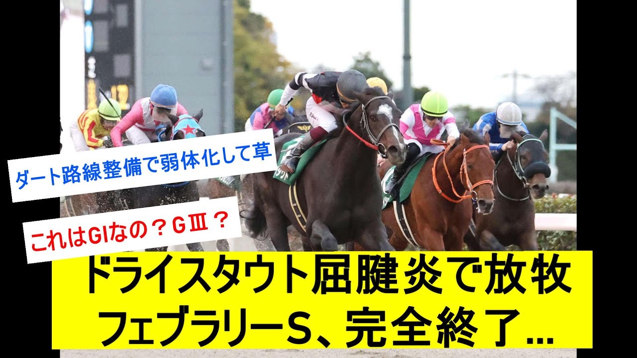 【悲報】ドライスタウト怪我でフェブラリーステークス完全終了...に対するみんなの反応【競馬反応集】