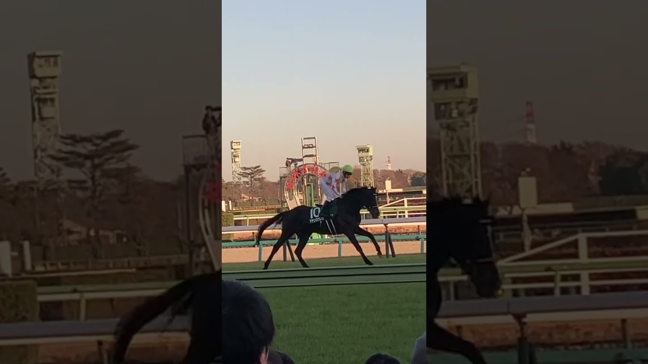 中山金杯 各出走馬の返し馬 #こしゃまる #競馬 #競馬予想