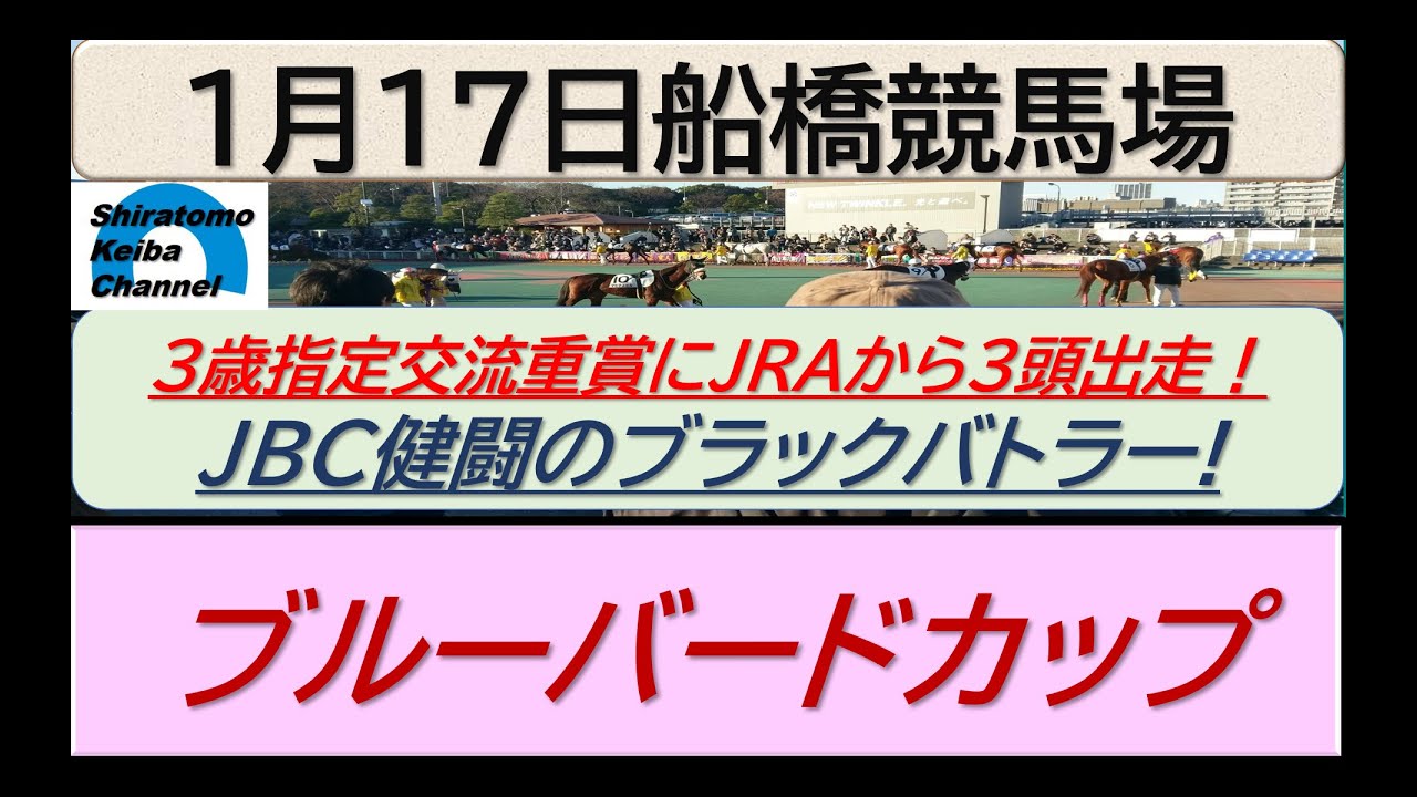 【競馬予想】JpnⅢブルーバードカップ～！～２０２４年１月１７日 船橋競馬場 ：１－３５