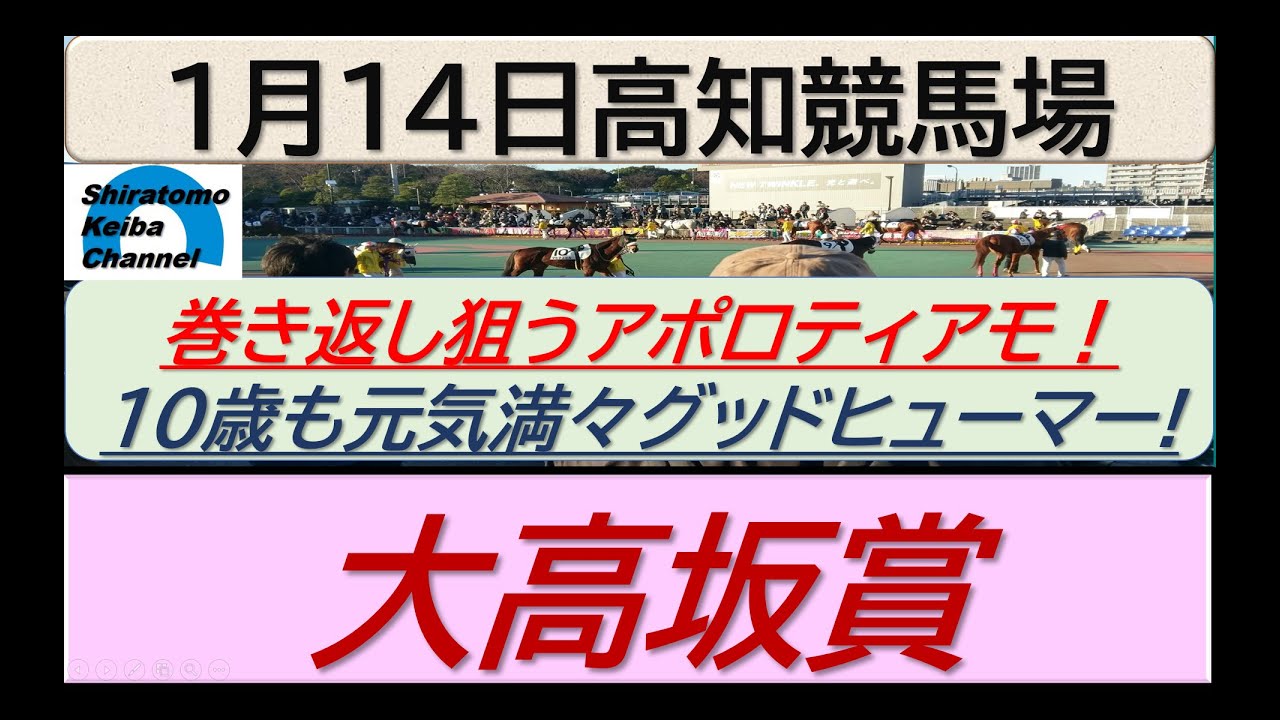 【競馬予想】重賞・大高坂賞！～２０２４年１月１４日 高知競馬場 ：１－３１