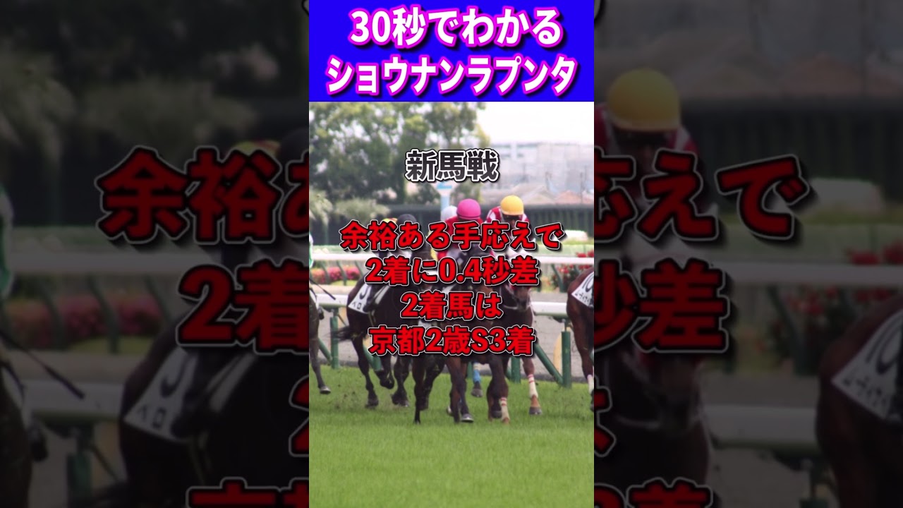 【ホープフルS2023】30秒でわかるショウナンラプンタ