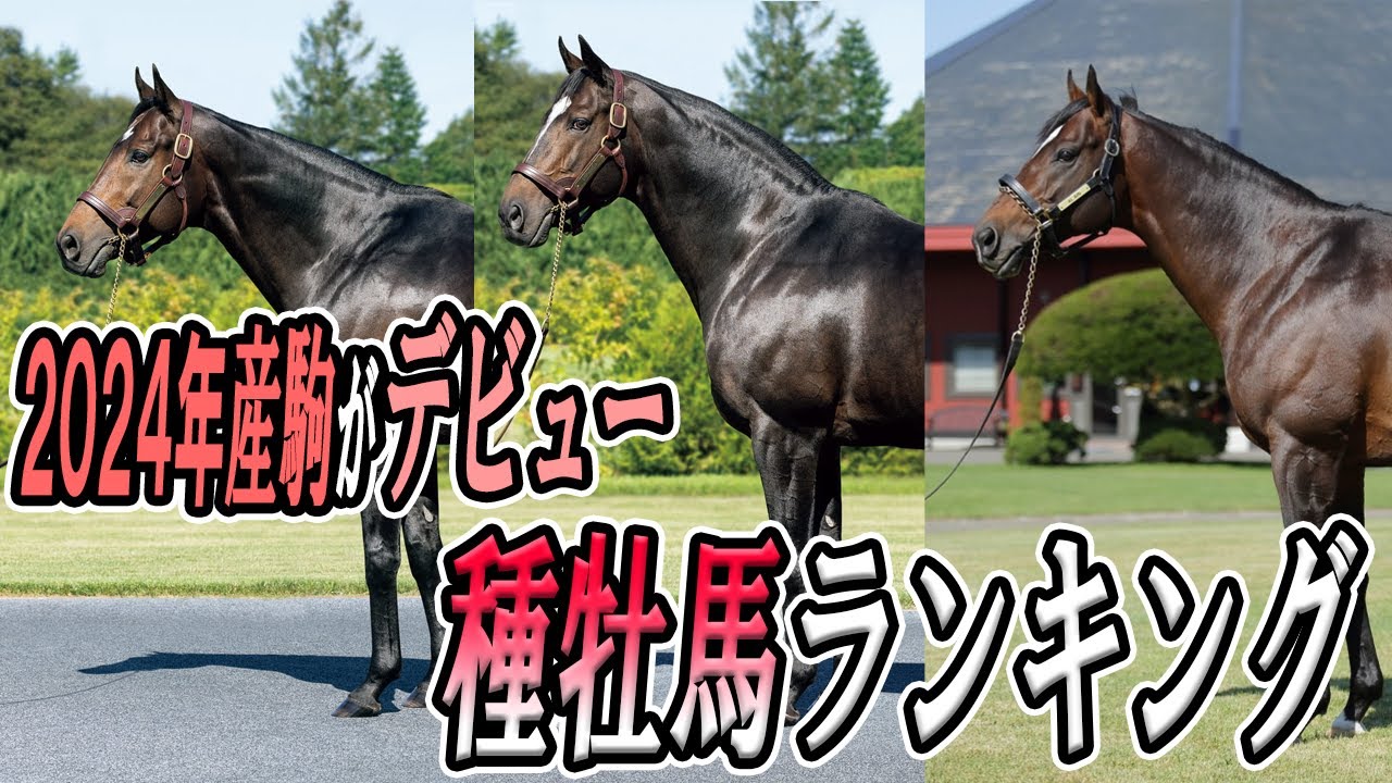 2024年産駒がデビュー【競馬関係者が期待する種牡馬ランキング】