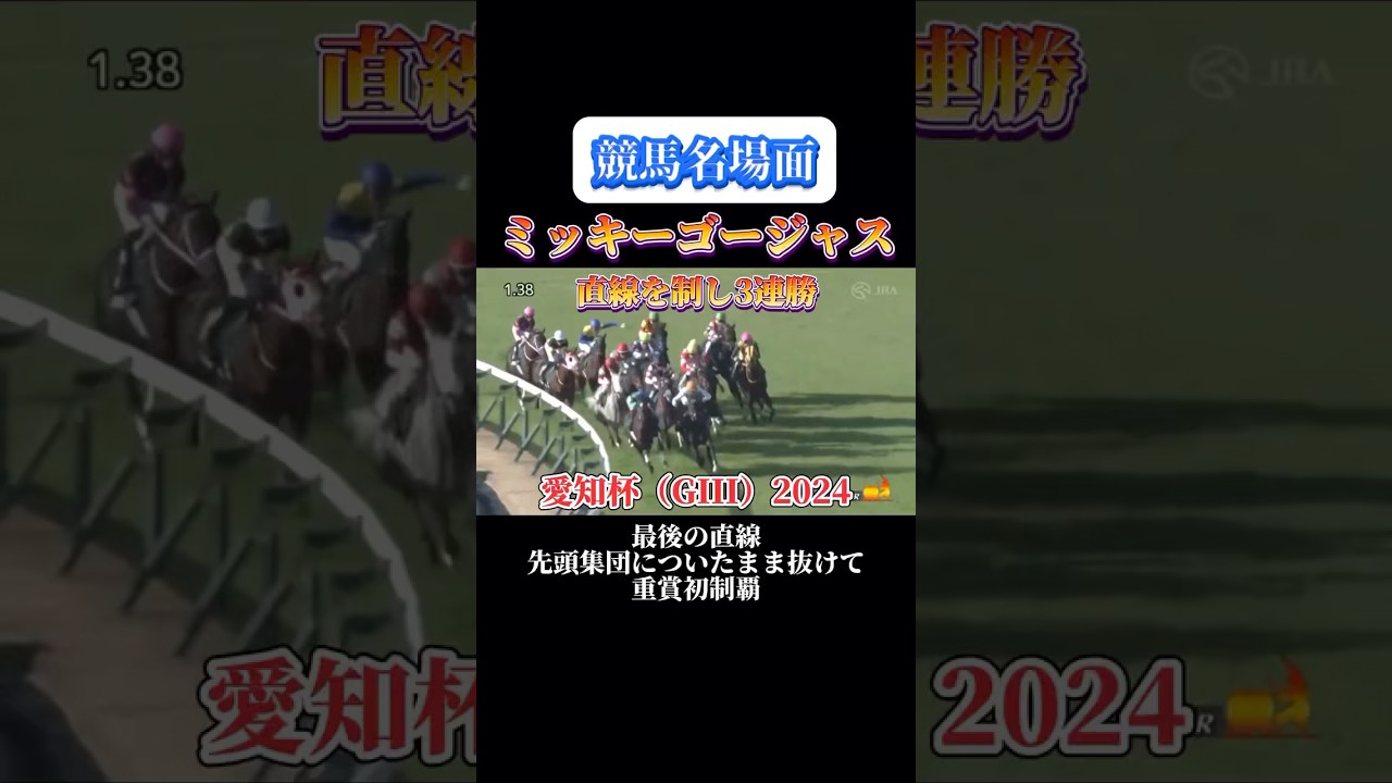 【競馬】ミッキーゴージャス【愛知杯 2024】#shorts #競馬 #ミッキーゴージャス #愛知杯 #競馬予想はショート動画に