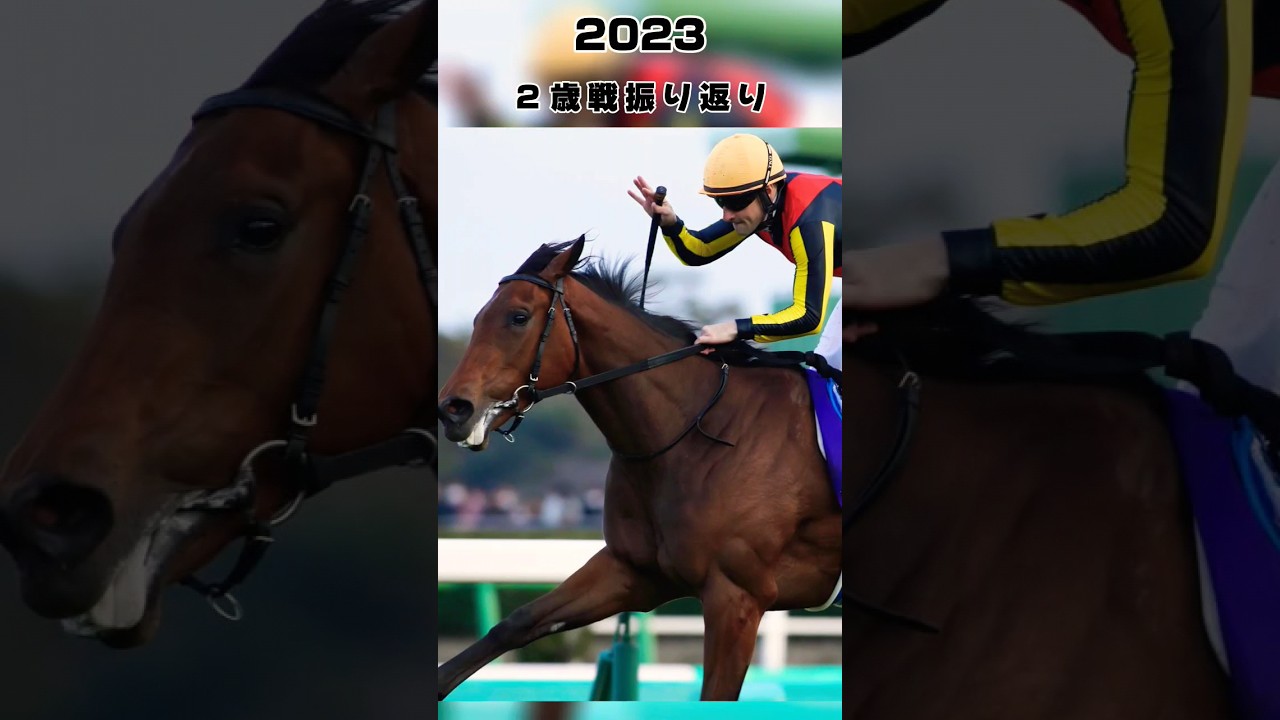 2023 ２歳戦振り返り