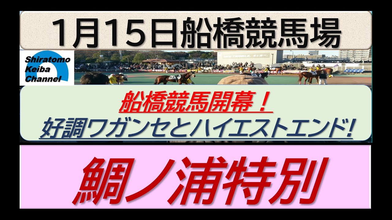 【競馬予想】鯛ノ浦特別～船橋開幕～！～２０２４年１月１５日 船橋競馬場 ：１－３２