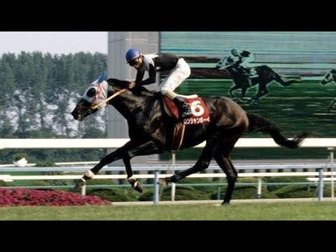 第23回　高松宮杯（ＧⅡ）　ロンシャンボーイ　牡４　57　清山宏明　1993.7.11　出走馬：ナリタタイシン、アラシ セン、マチカネタンホイザ、シスタートウショウ、オースミロッチ、サクラセカイオー他