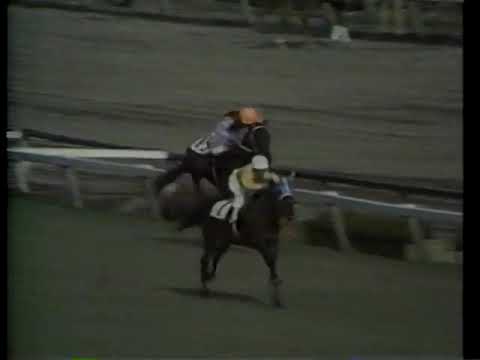 1968 日本ダービー タニノハローモア
