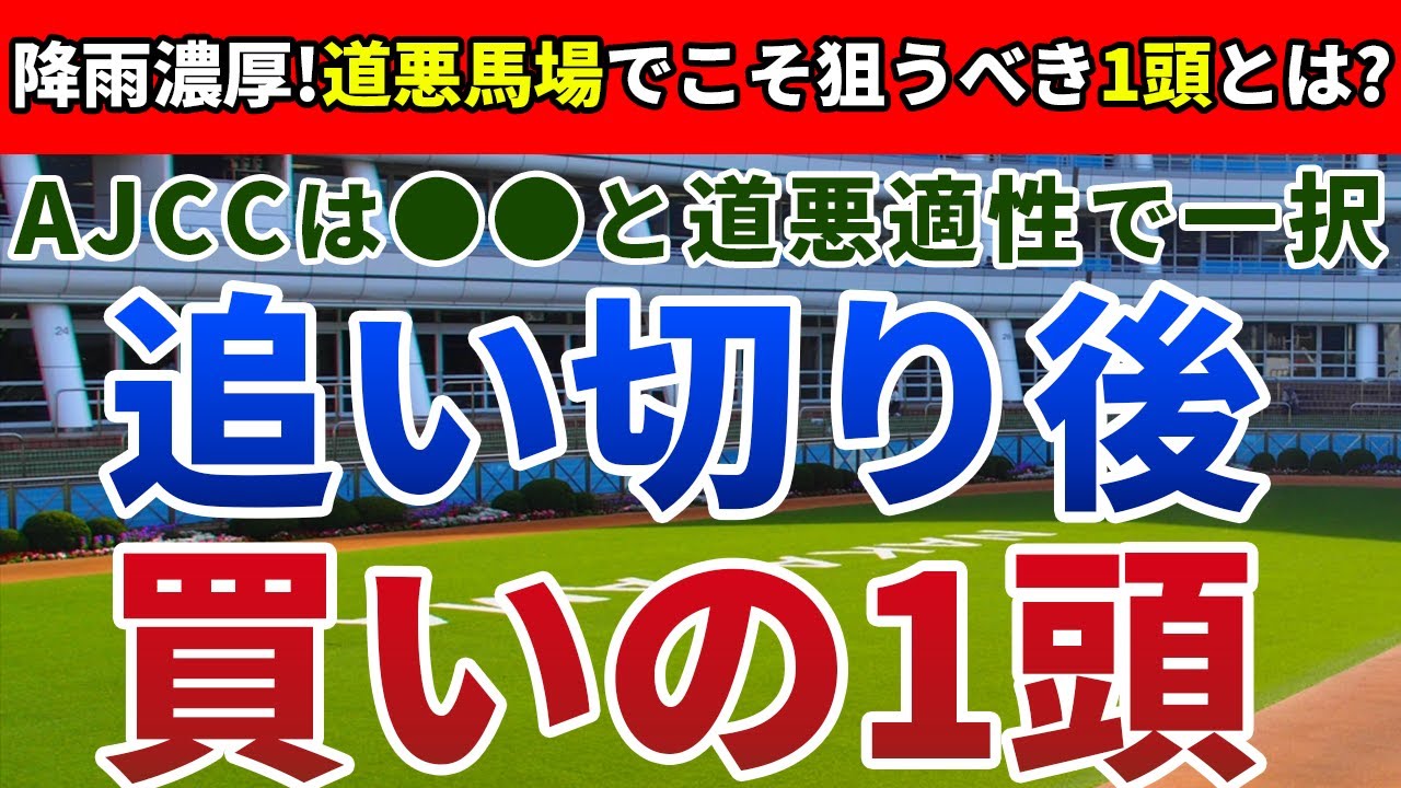 アメリカジョッキークラブカップ2024 追い切り後【買いの1頭】公開！道悪開催のAJCCは好走条件が明確！適性ドンピシャで激走する馬は？
